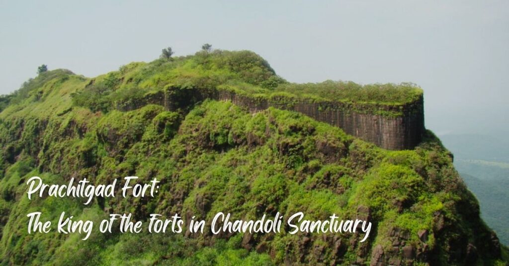 Prachitgad Fort