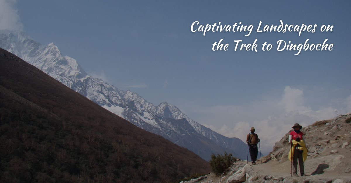 Captivating Landscapes on the Trek to Dingboche
