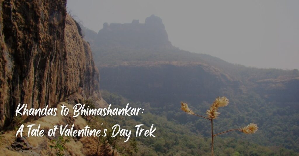 Khandas to Bhimashankar