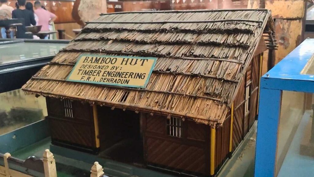 Inside the Timber Museum at FRI Dehradun