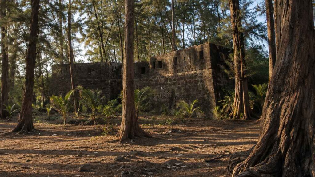 Kelve Fort ruins among Suru trees near Kelva Beach in Palghar